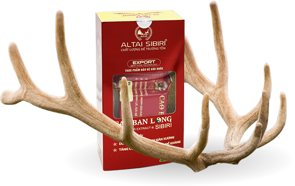 Giá trị dinh dưỡng Cao Ban Long