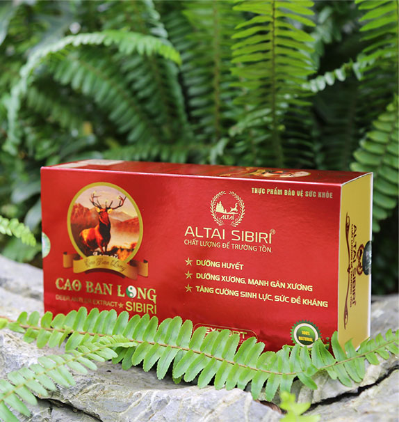 CAO BAN LONG SIBIRI