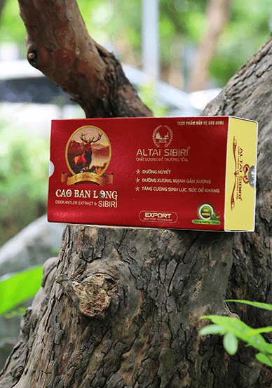 Combo 4 hộp Cao Ban Long Sibiri 100g - Tặng ngay 1 hộp cùng loại